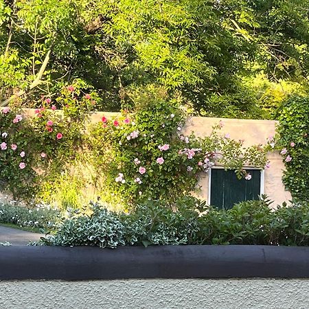 Old Mill House Bed & Breakfast Larne Exterior foto