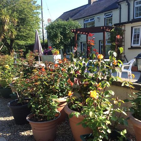 Old Mill House Bed & Breakfast Larne Exterior foto