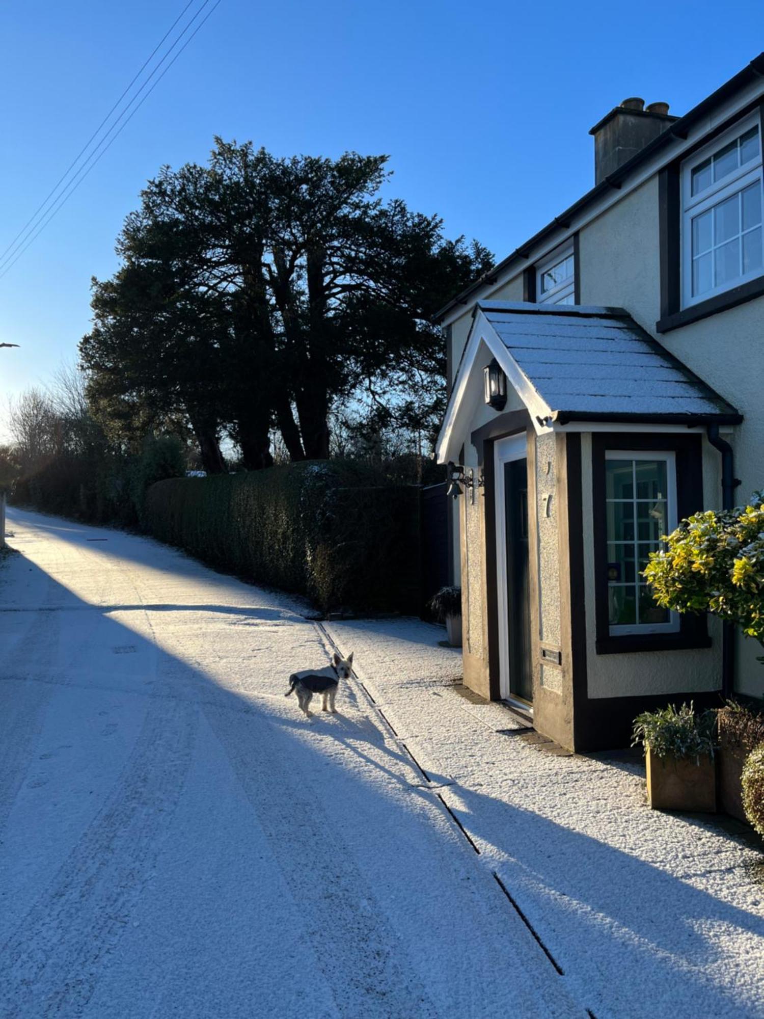 Old Mill House Bed & Breakfast Larne Exterior foto