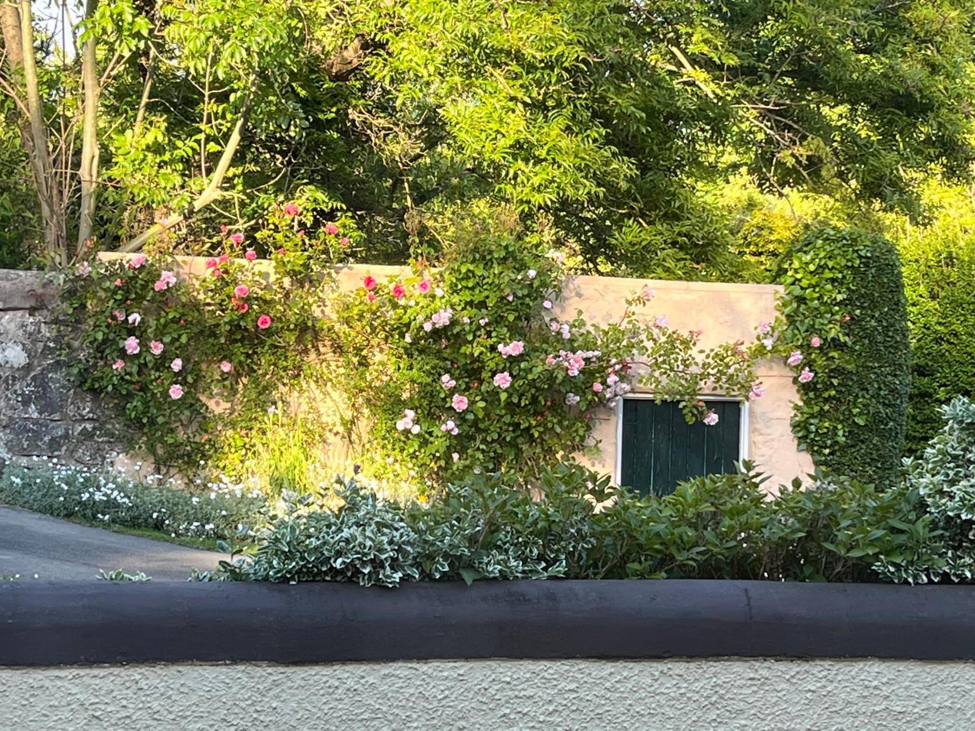 Old Mill House Bed & Breakfast Larne Exterior foto