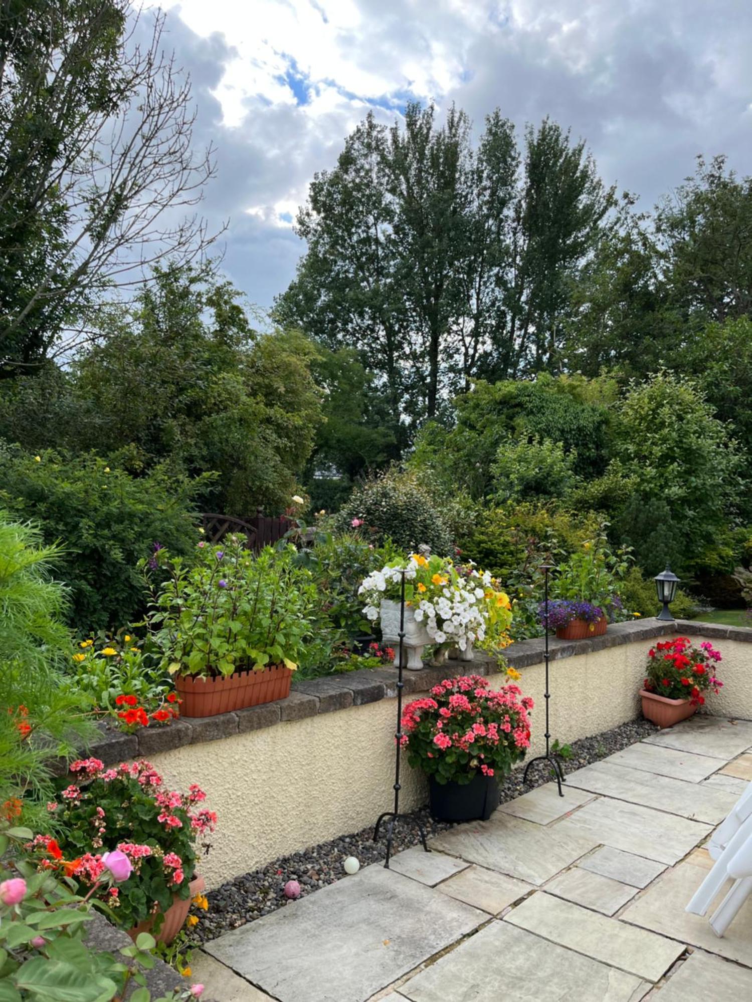 Old Mill House Bed & Breakfast Larne Exterior foto