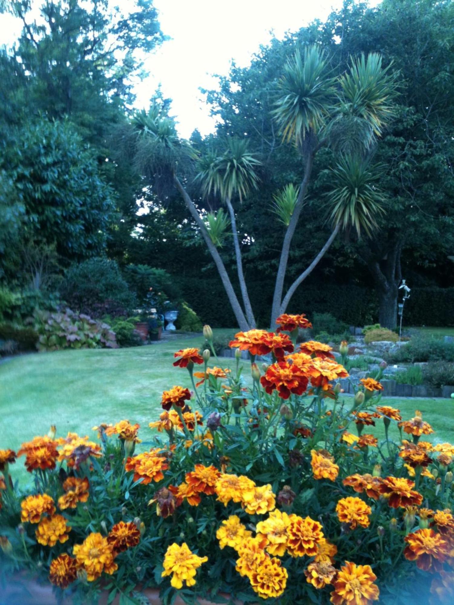 Old Mill House Bed & Breakfast Larne Exterior foto