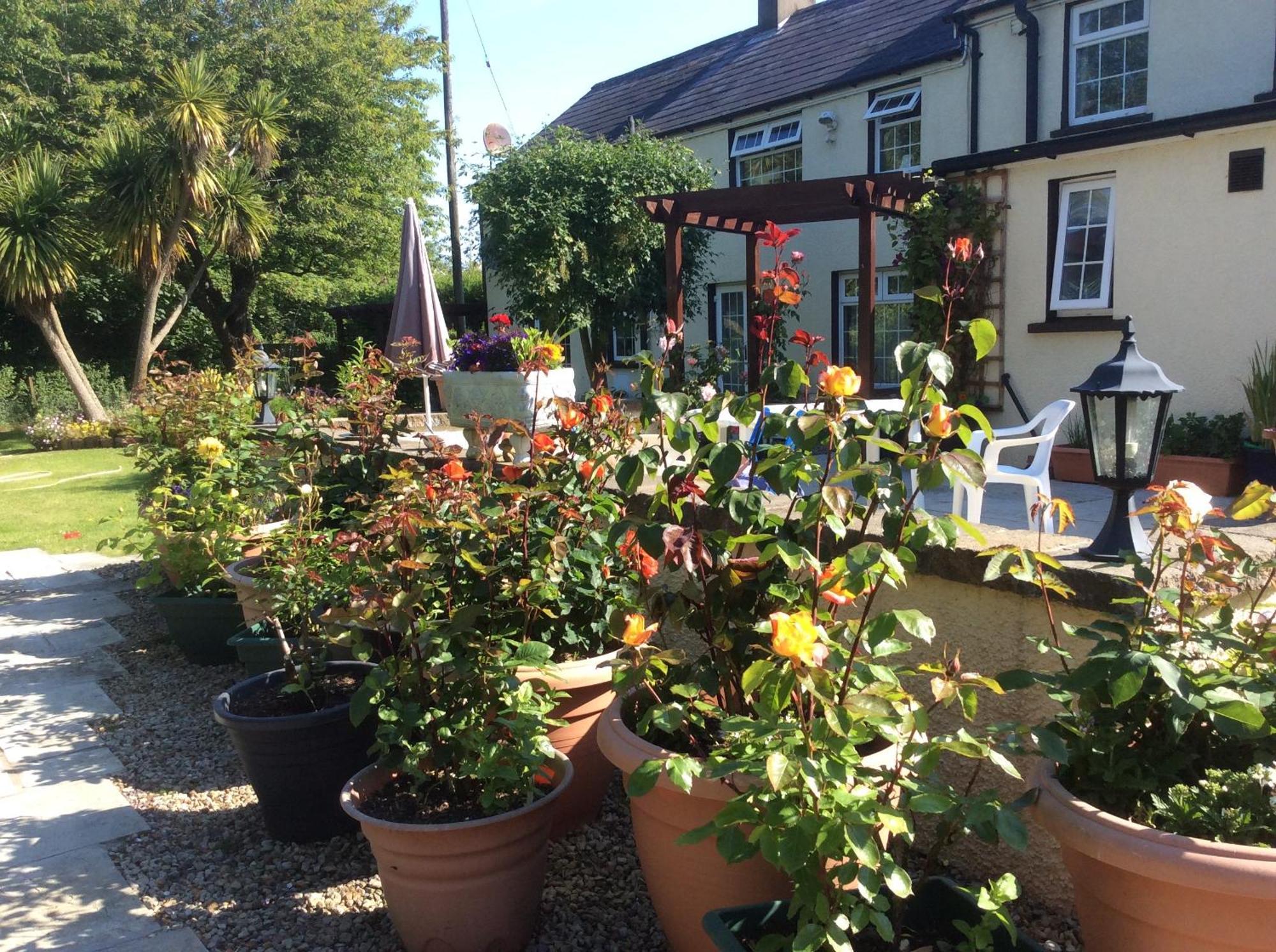 Old Mill House Bed & Breakfast Larne Exterior foto